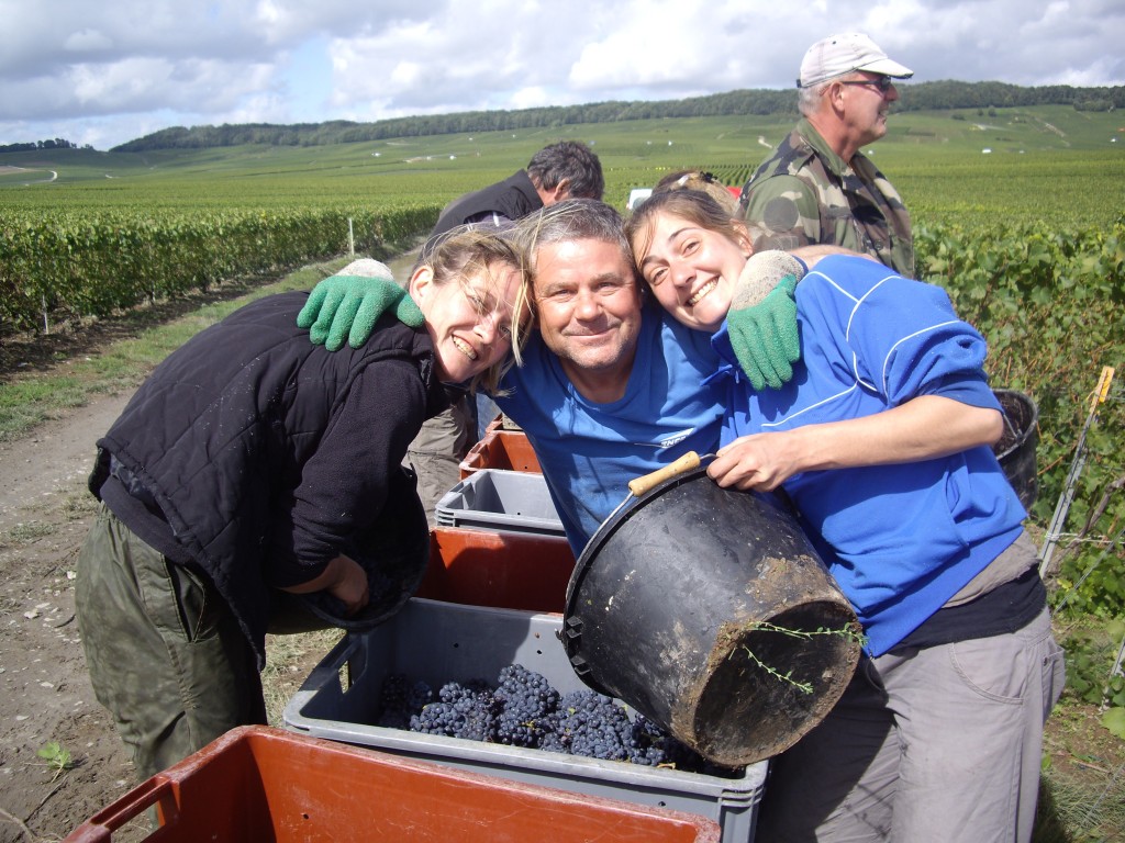 bouzy rouge vendange coteaux champenois