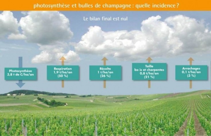 recyclage bouteille de champagne