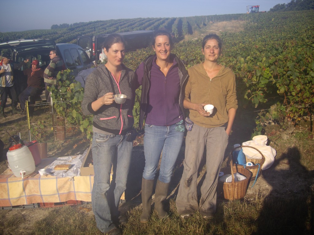 Aline, Maud, Laure : pas de filtre instagram mais un filtre "vendanges", doigts sales et collants !