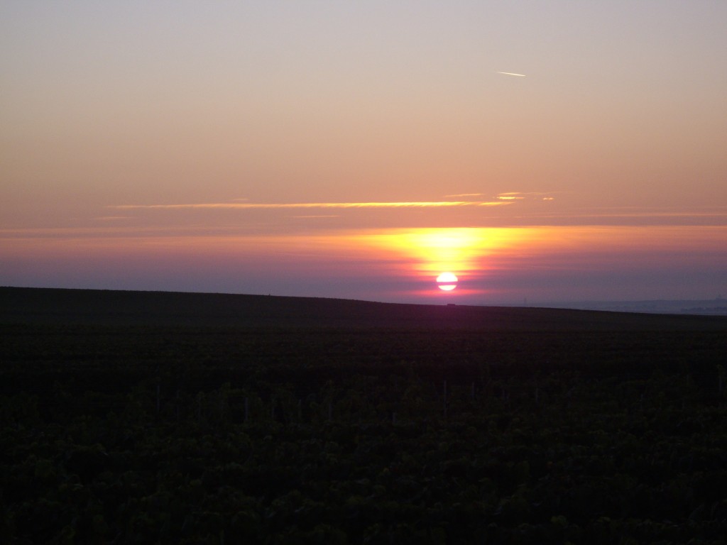 vendanges champagne 