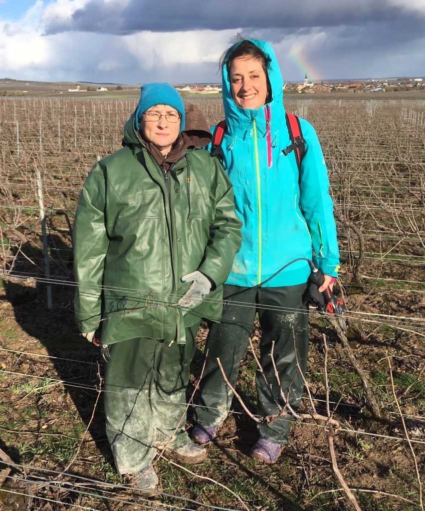 bouzy vignes journée de la femme