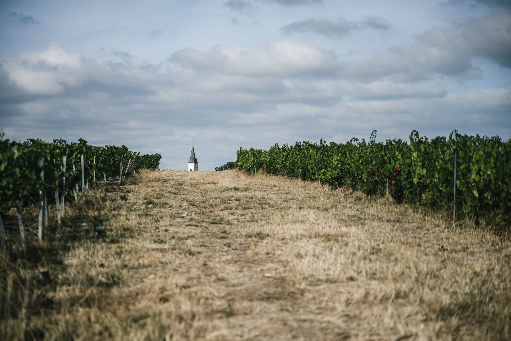 Eglise de Bouzy vue à travers les vignes