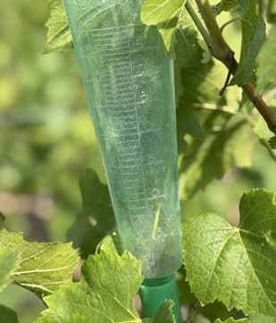 Pluviomètre dans les vignes Champagne Plener